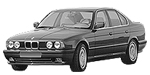 BMW E34 P1BFB Fault Code